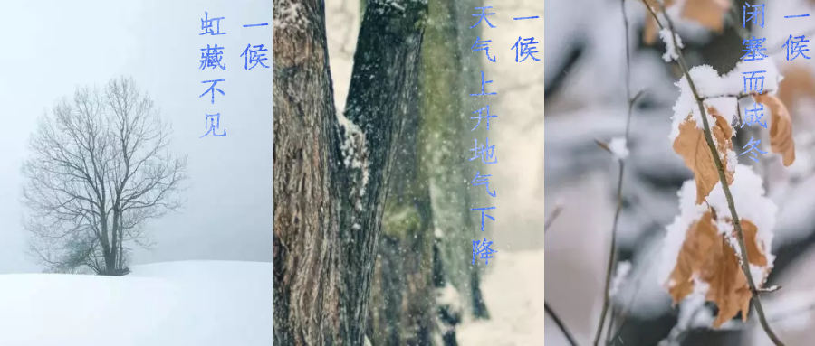 今日小雪，寒潮來(lái)襲，洗瓶機(jī)來(lái)幫你解放雙手吧！